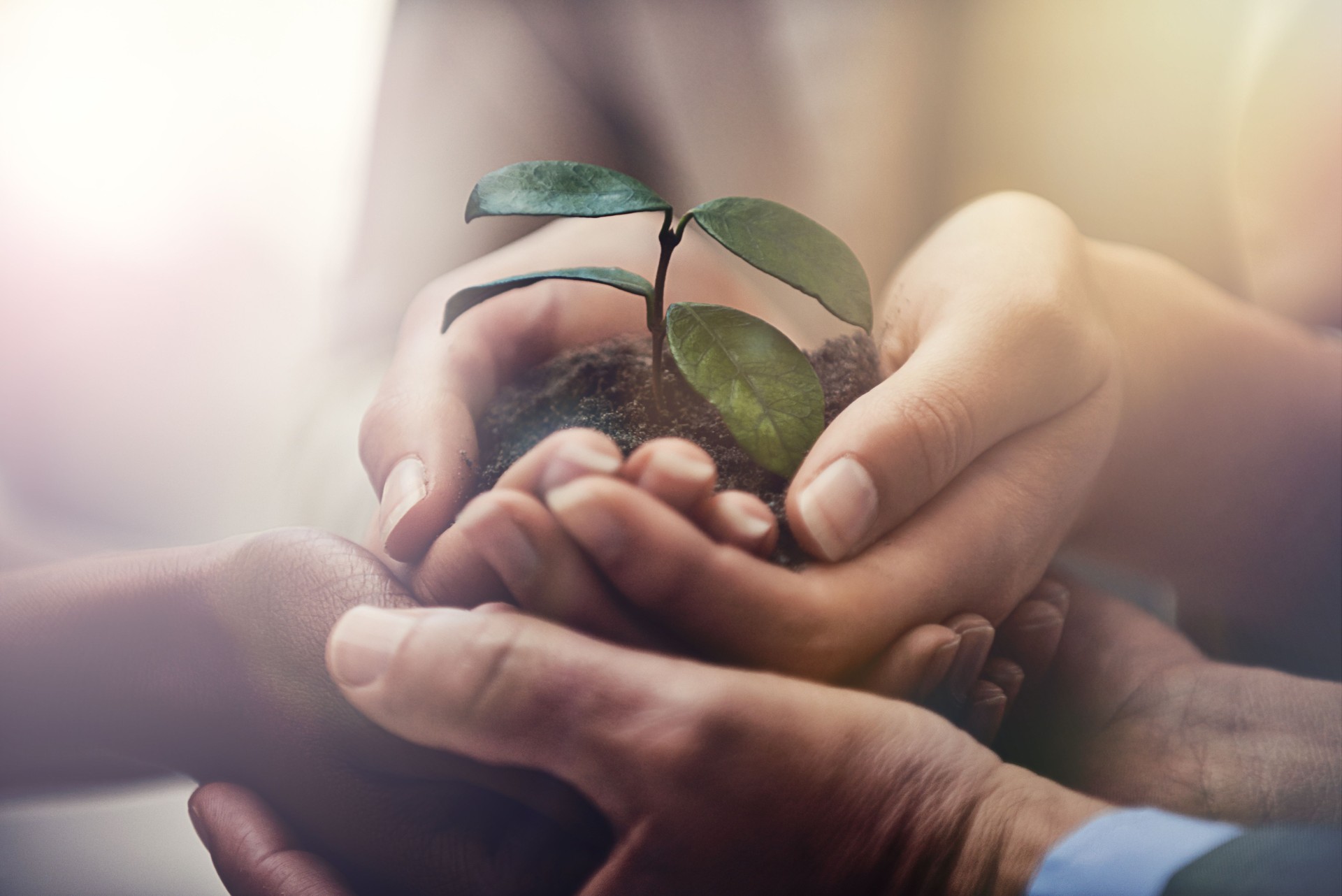 Nurturing corporate growth